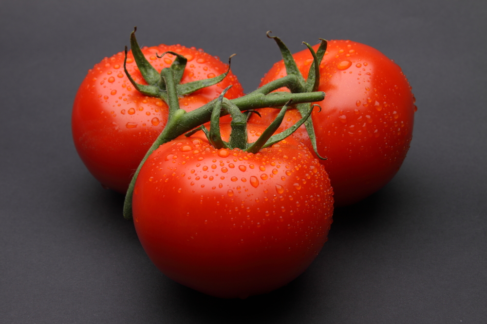 Optimale Hundeernährung » Richtiges Barf für Hunde