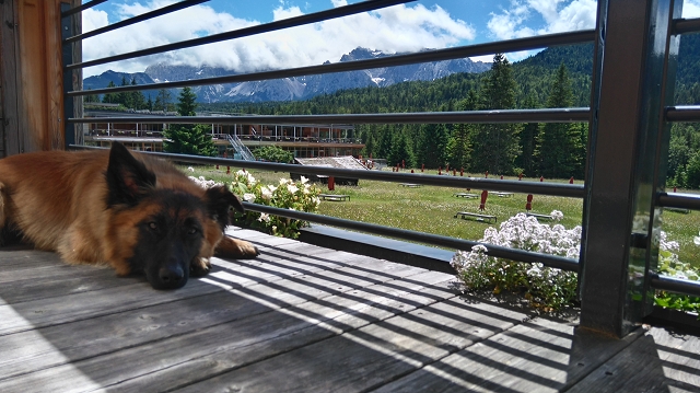 Blick vom Balkon Kranzbach